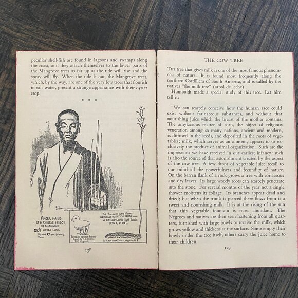 Ripley's Believe it or Not Pocket Book Edition 1949 - Picture 8 of 10